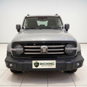 Grey 2021 TANK 300 City Edition 2.0T AWD SUV - Riching Used Car Trading