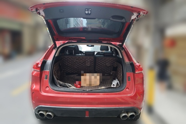 2017 WEY VV5 2.0T Flagship Luxury SUV Petrol White Exterior