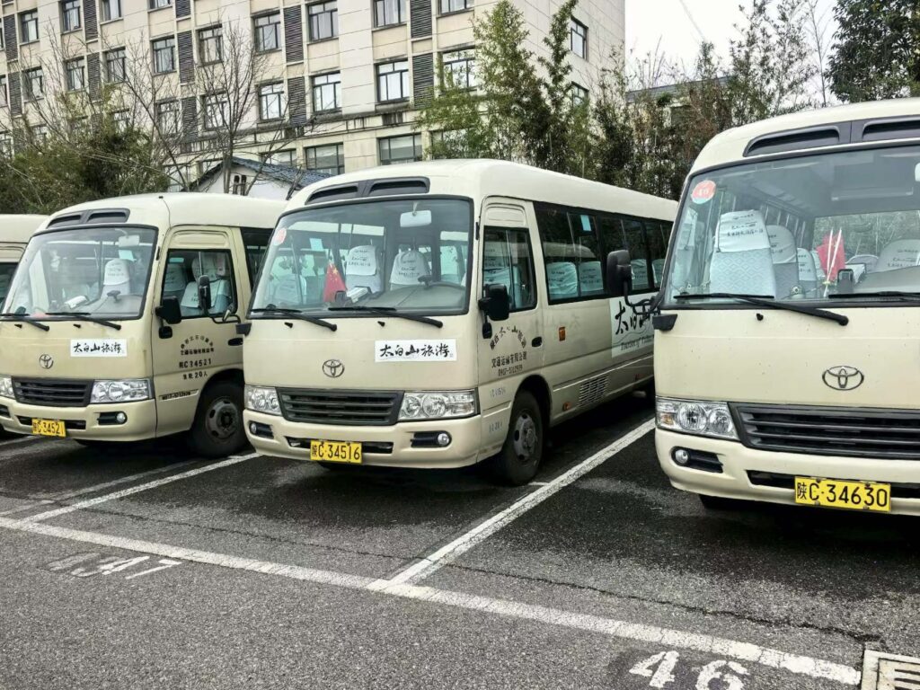 Front view of three beige used Toyota Coaster minibuses parked in a row. These units are from a premium Chinese tourism fleet, featuring original Toyota logos and clean, well-maintained exteriors. The photo highlights the ready-for-export condition of these 23-30 seater passenger buses in our Shenzhen inventory.